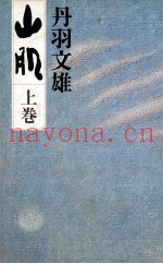 山肌 1