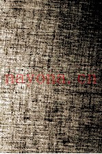 武田泰淳全集:12