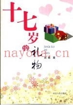 十七岁的礼物