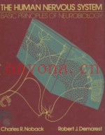 THE HUMAN NERVOUS SYSTEM BASIC PRINCIPLES OF NEUROBIOLOGY THIRD EDITION