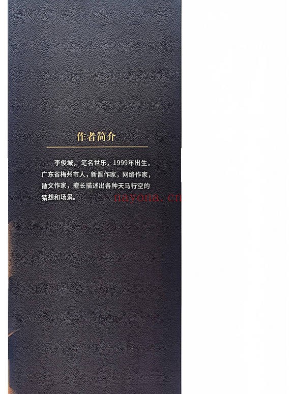 李俊城询天论道3000问315页PDF 易学百科