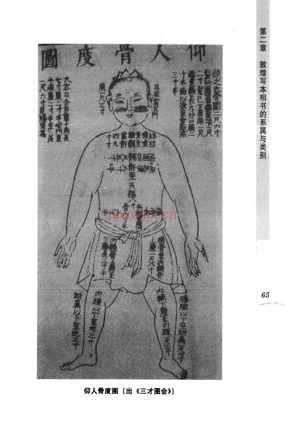 王晶波敦煌写本相书研究441页PDF 相书研究