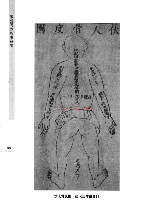 王晶波敦煌写本相书研究441页PDF 相书研究