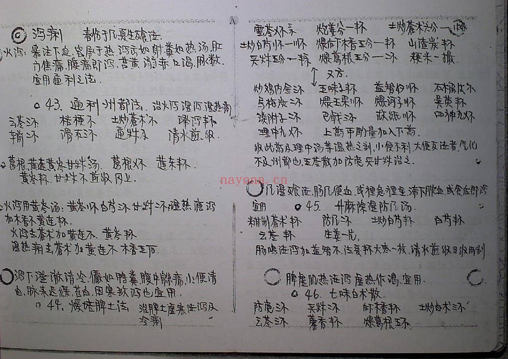 1960-1964年绝版手抄真实秘方148页PDF 中医秘方