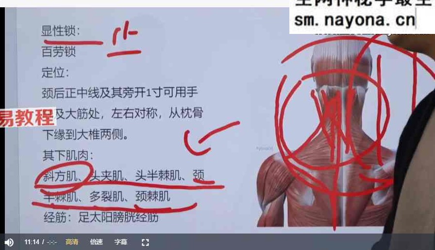李树桉肌源疼痛三三解锁术 视频46集