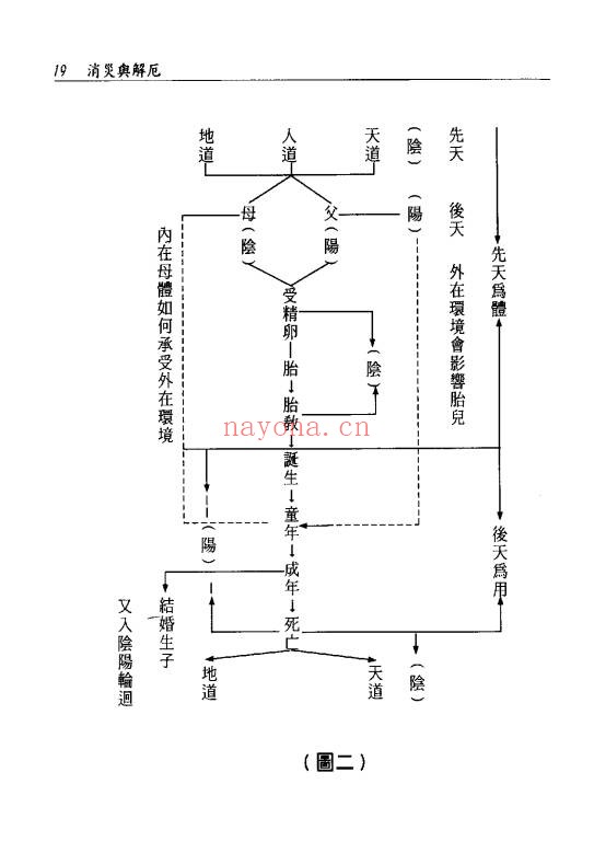 澹园主人命运解码95双页PDF 命理教程