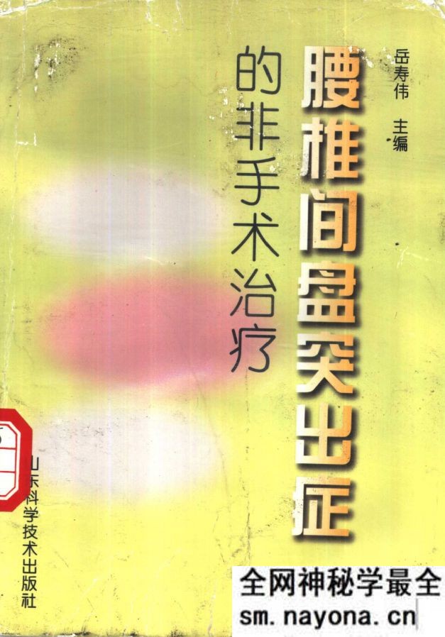 腰椎间盘突出症的非手术治疗 岳寿伟主编t