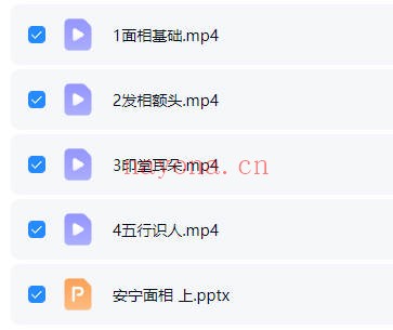 安宁日志面相美学中高级全集19集视频+课件 面相教程