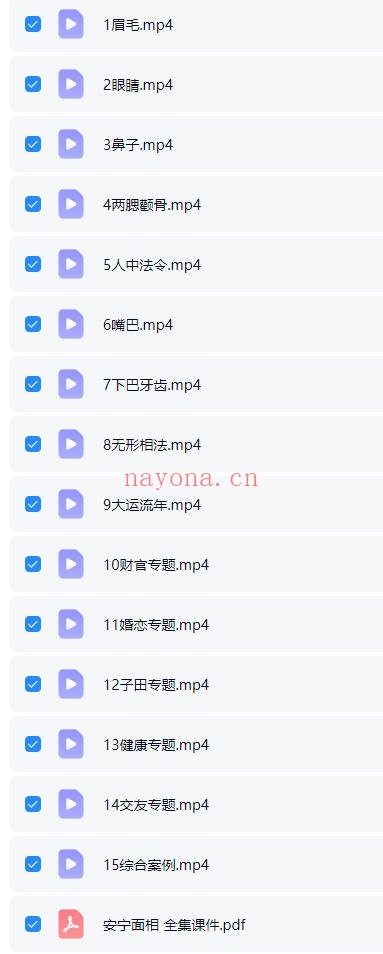 安宁日志面相美学中高级全集19集视频+课件 面相教程