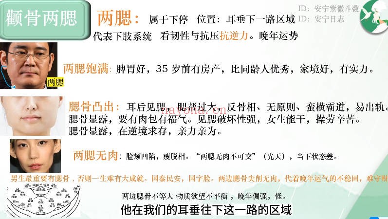 安宁日志面相美学中高级全集19集视频+课件 面相教程