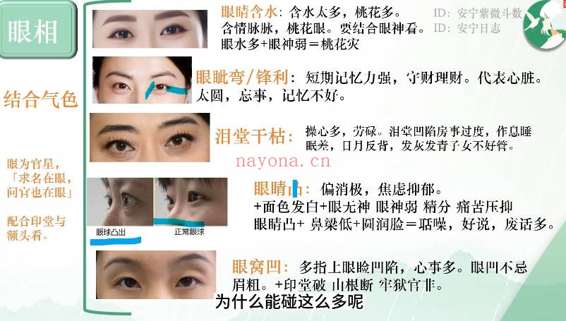 安宁日志面相美学中高级全集19集视频+课件 面相教程