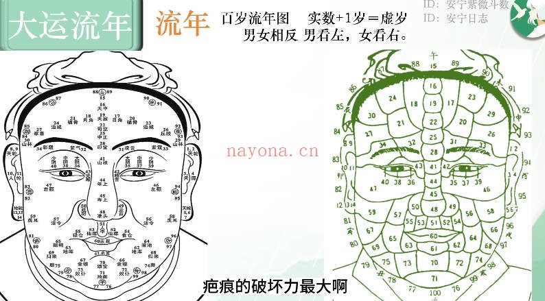 安宁日志面相美学中高级全集19集视频+课件 面相教程
