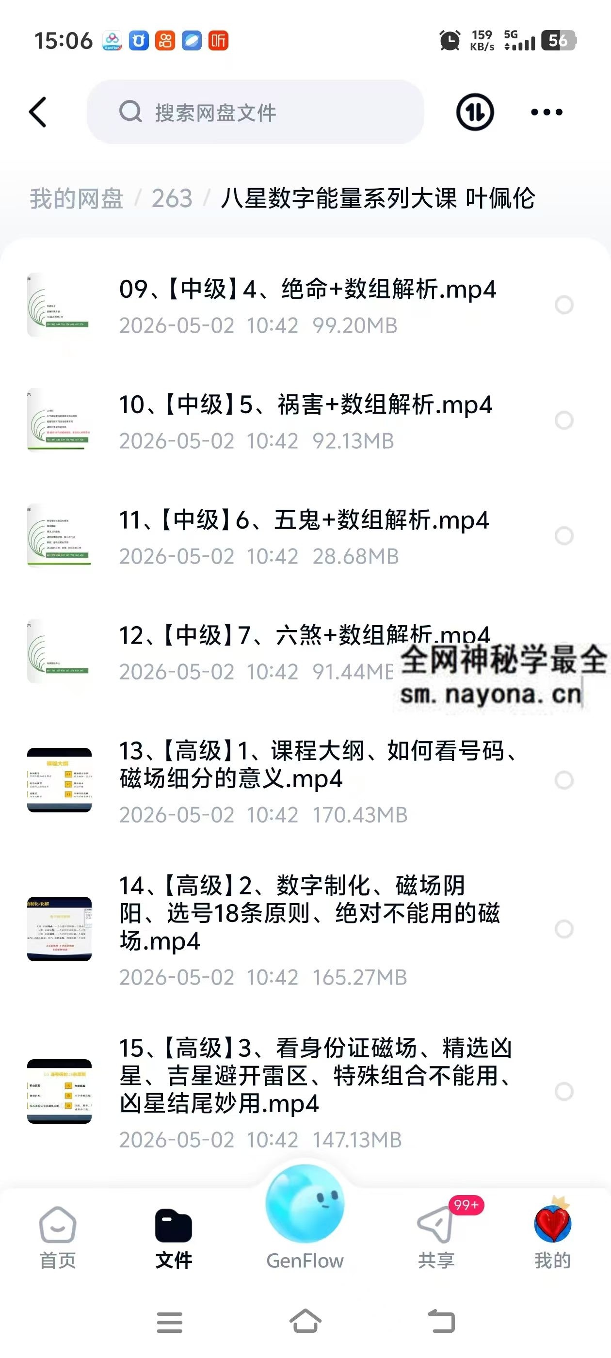 八星数字能量系列大课 叶佩伦