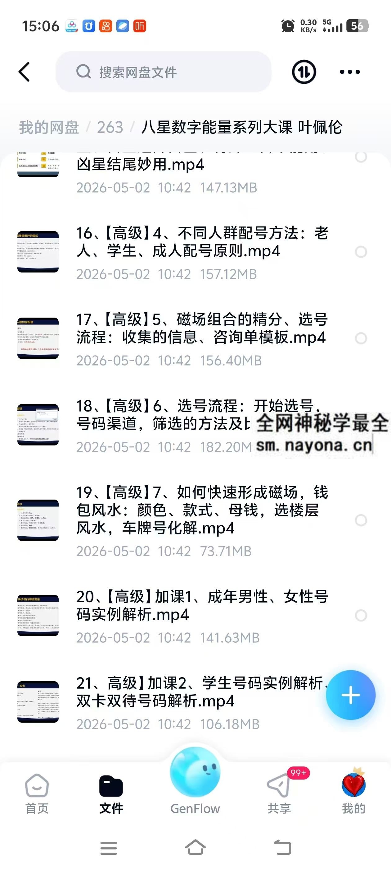 八星数字能量系列大课 叶佩伦