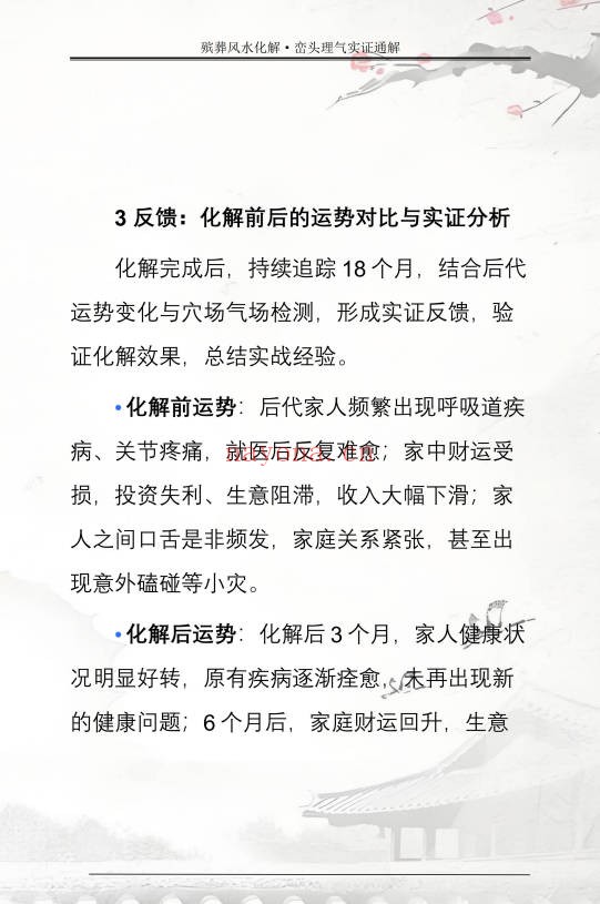 王进武祝安茂殡葬风水化解峦头理气实证通解231页PDF