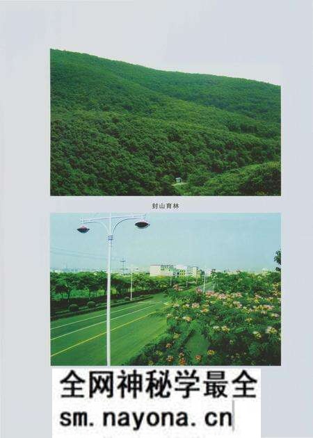 《郑州林业志登封卷（1978-2008）》.pdf电子版_河南省志预览图5