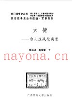 大捷  台儿庄战役实录