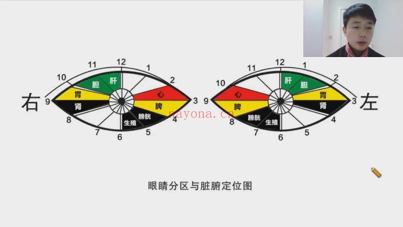 李均峰瑶医天象眼诊十大高发疾病诊断12集视频 瑶医教程