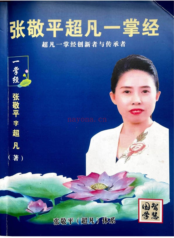 张敬平超凡一掌经248页PDF 一掌经教程