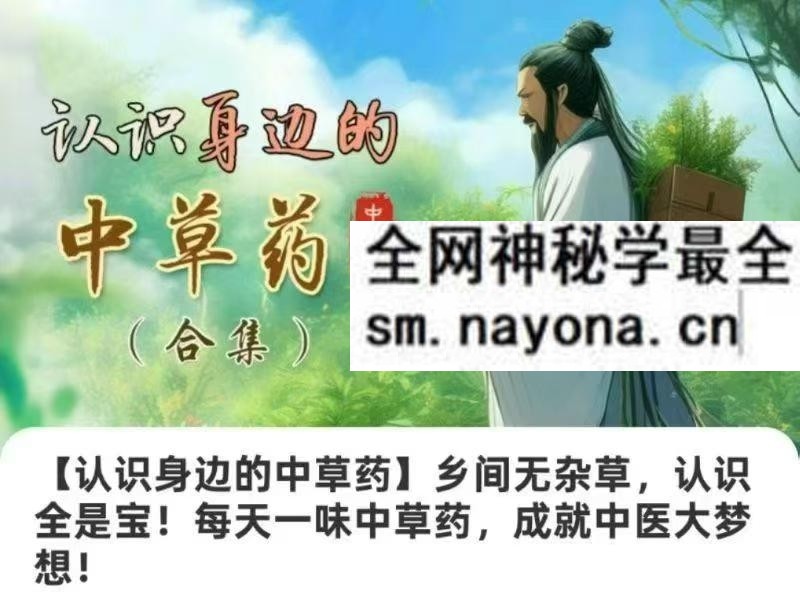 认识身边的中草药乡间无杂草 认识全是宝 每天一味中草药 成就中医大梦想