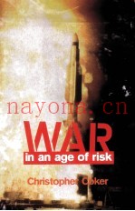 War in an Age of Risk