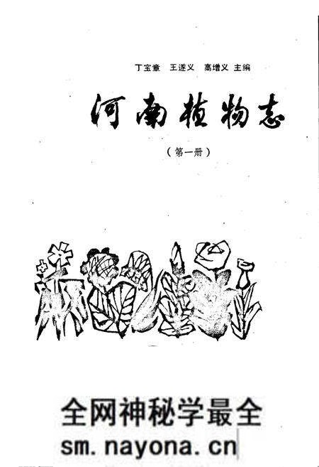 《河南植物志 第一册》.pdf电子版_河南省志预览图1