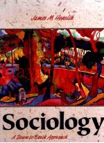 SOCIOLOGY A DOWN-TO-EARTH APPROACH