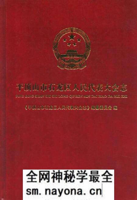 《平顶山市石龙区人民代表大会志》.pdf电子版_河南省志预览图