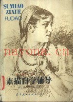 素描自学辅导