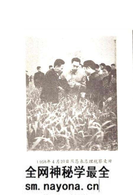 《关虎屯村志》.pdf电子版_河南省志预览图3 《关虎屯村志》.pdf电子版_河南省志预览图3