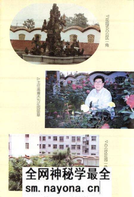 《周口市城市信用社志》.pdf电子版_河南省志预览图5 《周口市城市信用社志》.pdf电子版_河南省志预览图5