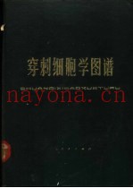 穿刺细胞学图谱
