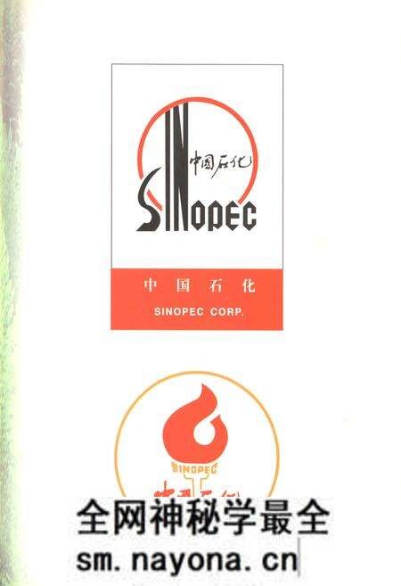《中国石油化工股份有限公司河南洛阳孟津石油分公司石油志(第二部)》.pdf电子版_河南省志预览图5 《中国石油化工股份有限公司河南洛阳孟津石油分公司石油志(第二部)》.pdf电子版_河南省志预览图5