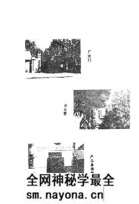 《郑州市色织一厂志(1949-1985)》.pdf电子版_河南省志预览图5