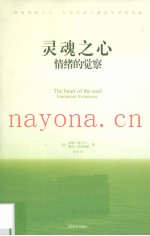 灵魂之心  情绪的觉察