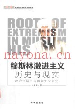 穆斯林激进主义  历史与现实  政治伊斯兰与国际安全研究