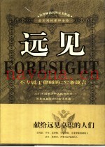 远见  不专属于律师的252条箴言  最实用的律师圣经