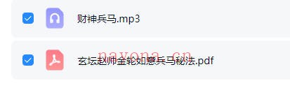 若诚玄坛赵帅金轮如意兵马秘法音频+文档 道家秘法