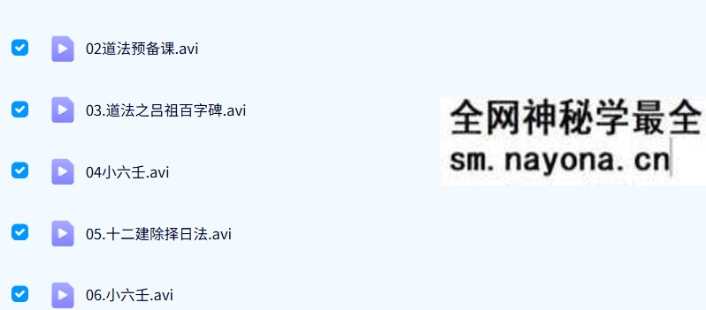 丰道人小六壬11集（视频）