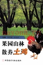 果园山林散养山鸡