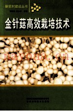 金针菇高效栽培技术