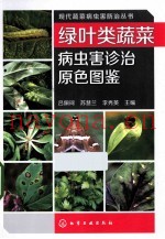 绿叶类蔬菜病虫害诊治原色图鉴