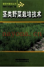 茎类野菜栽培技术