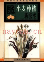 图说小麦种植新技术