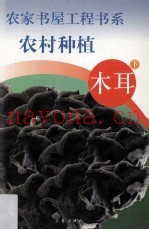农村种植  木耳  下