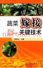 蔬菜嫁接关键技术