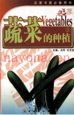蔬菜的种植  3  黄瓜
