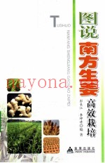 图说南方生姜栽培技术