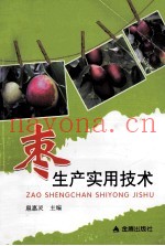 枣生产实用技术