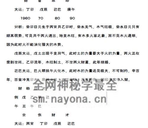 A2442王国亮 八字命局大运流年神断PDF电子书342页
